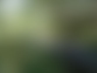 "Modelo presidencial"