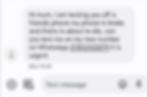 Foto: Exemplo de fraude cibernética por mensagem de texto