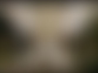 Tensões e expectativas na Europa : Rússia e China fecham pacto de aliança contra a Ucrânia