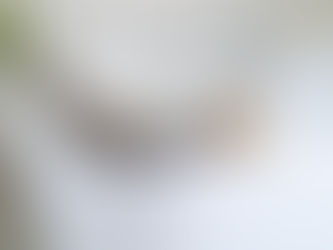 Cestos se tornam um curinga na organização e decoração