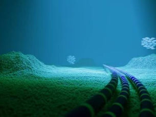 Grupo Meta vai construir o sistema de cabos submarinos mais longos do planeta