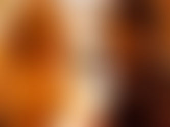 Um sucesso a Oitava edição do Festival de Cinema Brasileiro em Munique, na Alemanha 