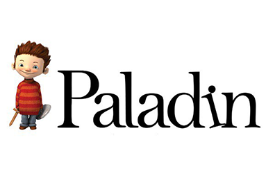 Paladin Studios Internship