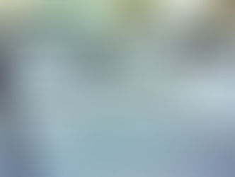 Everything you ever wanted to know but were afraid to ask about SUBJECT CONDITIONS in Real Estate Ag