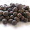 Thumbnail: Allspice, Whole
