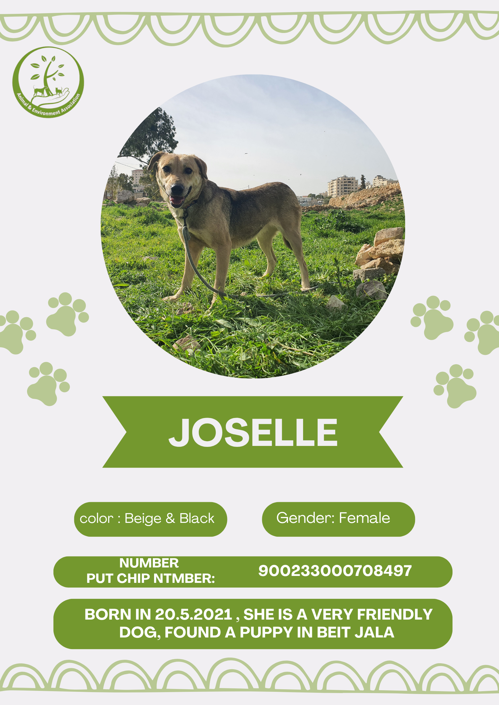 Joselle