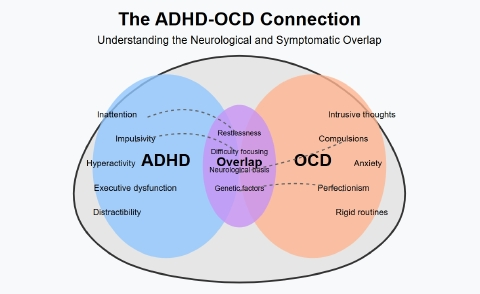 OCD and ADHD: Comorbid Symptoms and Treatment in Dallas