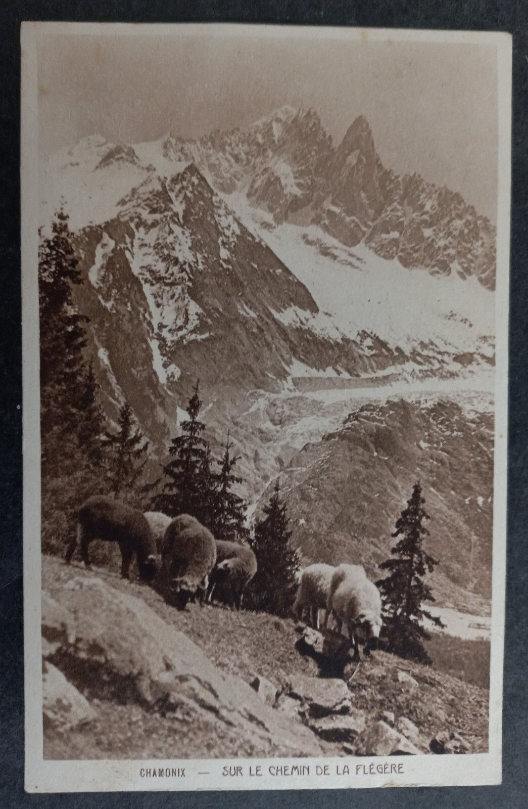 Undated France Postcard-On the Way to Flegere Unused No Stamp