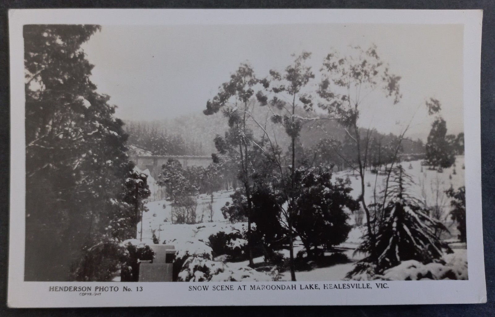 Undated Australia Postcard-Maroondah Lake Scene Unused No stamp