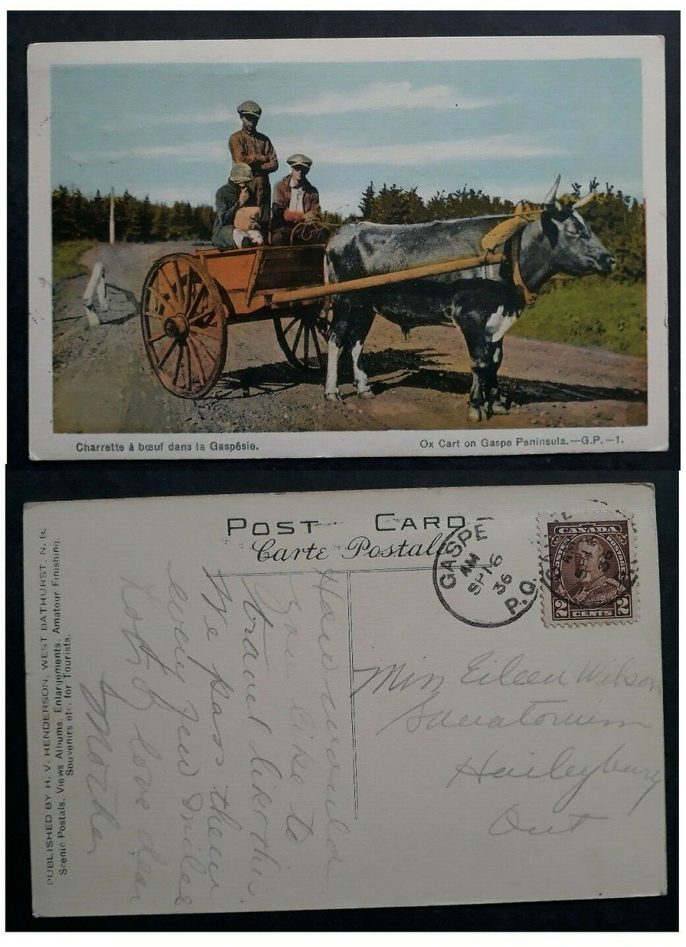 1936 Canada Postcard-Ox Cart on Gaspe Peninsula ties 2c stamp cancelled Gaspe
