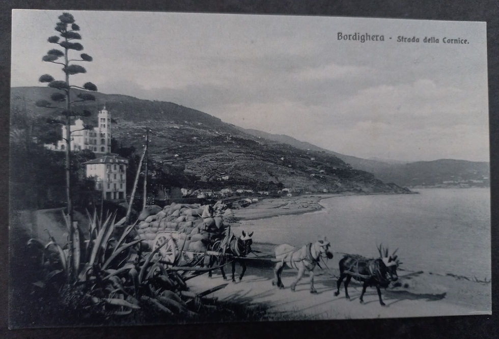 Undated Italy Postcard-Bordighera-Strada della Cornice Unused No Stamp