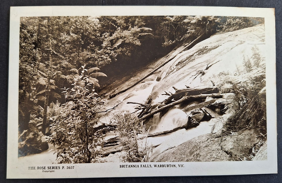 c. 1910s Australia Rose Series Postcard-Britannia Falls, Warburton Unused