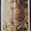 Thumbnail: c. 1910s Australia Rose Series Postcard-Sylvia Gully, Toolangi Unused No Stamp