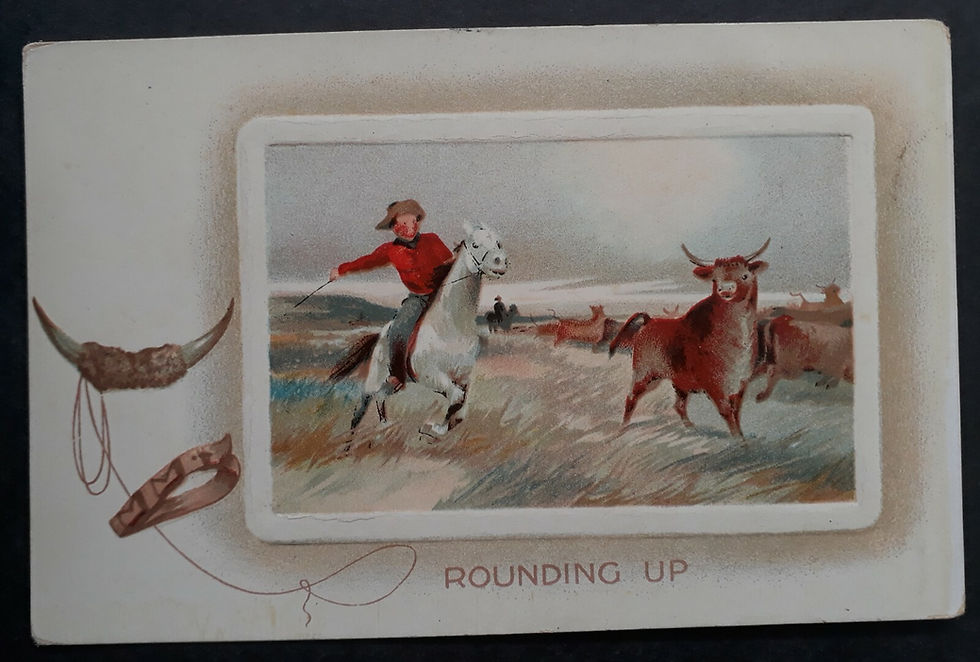 c. 1905-20 Great Britain Birns Brothers Postcard-Rounding Up Unused