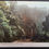 Thumbnail: Undated Australia Postcard-Cambewarra Pass, South Coast Unused