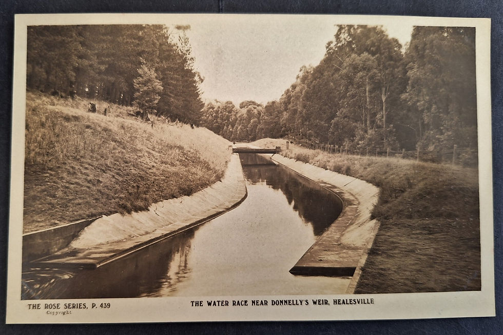c. 1910s Australia Rose Series Postcard-The Water Race, Healesville Unused