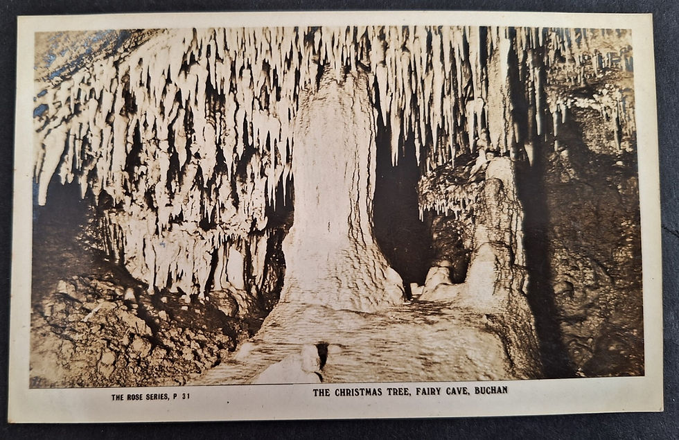 c. 1910s Australia Rose Series Postcard-The Christmas Tree, Buchan Unused