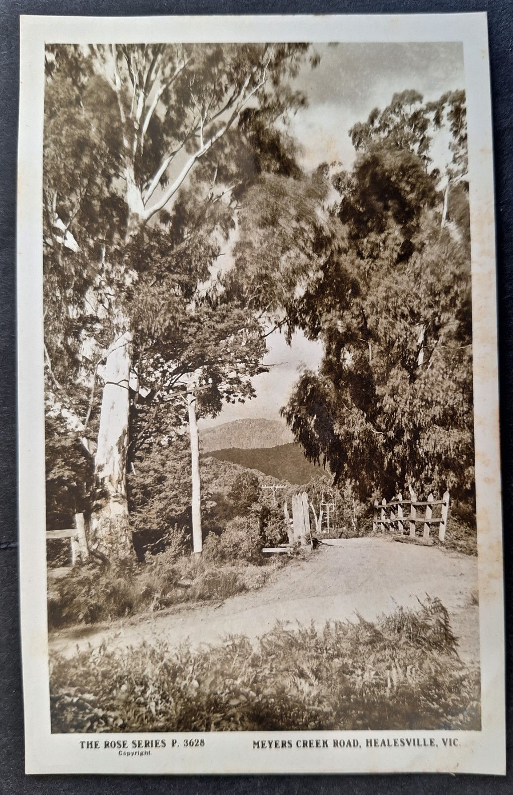 c. 1910s Australia Rose Series Postcard-Meyer's Road, Healesville Unused