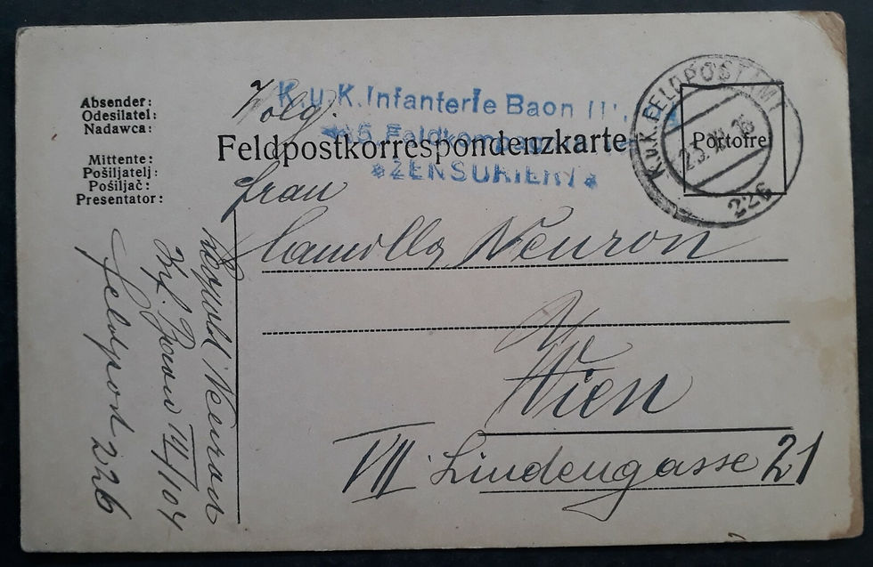 1916 Austria Postcard cancelled Field PO No. 226 to Wien No Stamp