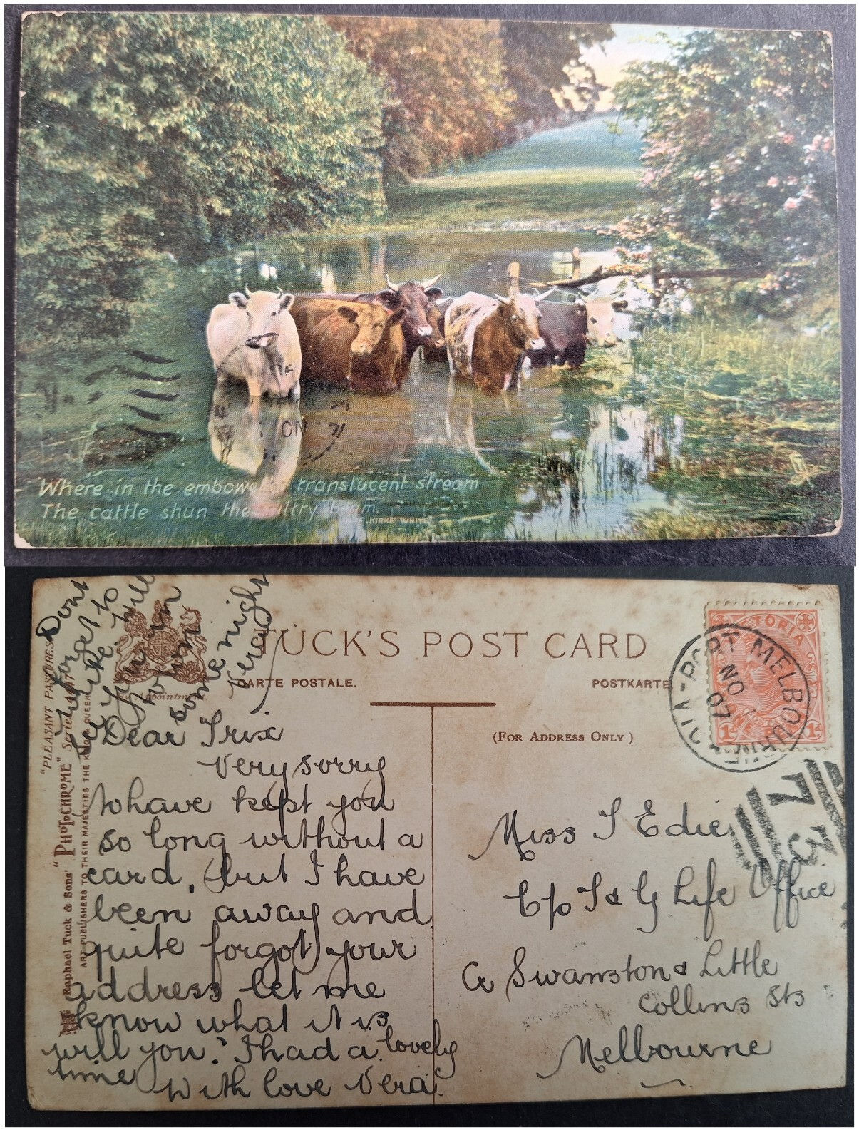 1907 Australia VIC Tucks Postcard-The Cattle Shun 1p stamp cd Port Melbourne