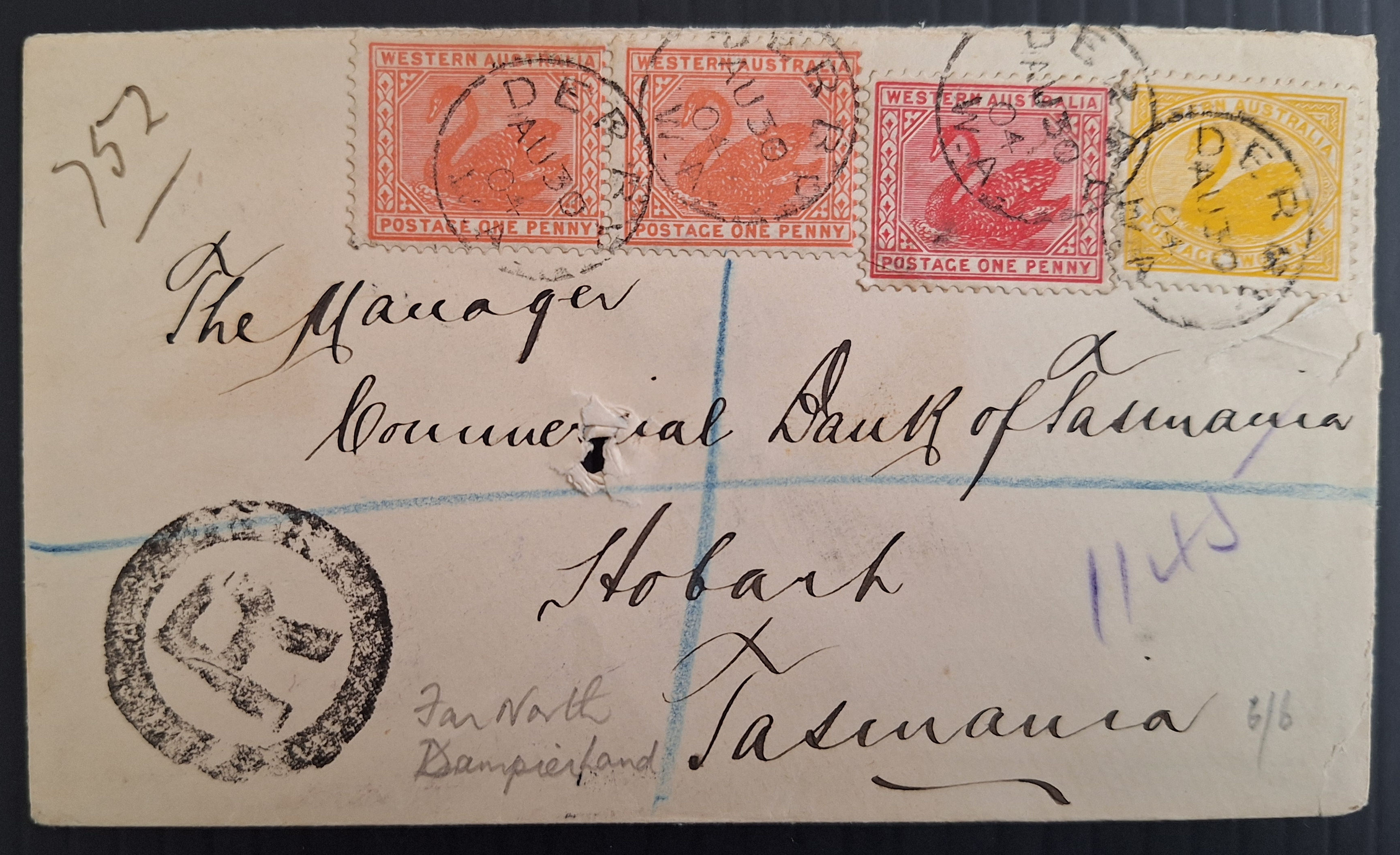 1905 Western Australia Registered Cover ties 4x Swan stamps DERBY-HOBART