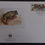 Thumbnail: 1989 Czechoslovakia World Wildlife Fund FDC ties 2Kc Stamp cd Praha