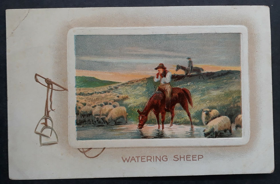 c. 1905-20 Great Britain Birns Brothers Postcard-Watering Sheep Used