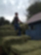 Stacking Hay in the Barn