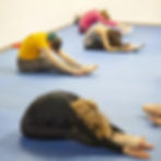 flexi