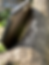 Thumbnail: Octagonal Painted Mirror