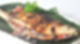 MILK FISH