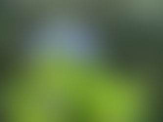 7号食7日目 / Brown Rice Cleanse Day-7