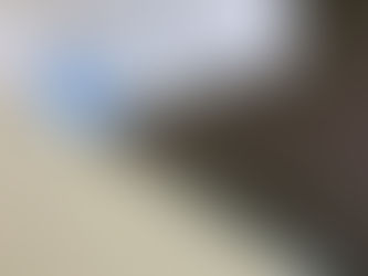 MAISON LA ROCHE - Le Corbusier / Paris