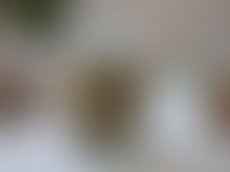 7号食6日目 / Brown Rice Cleanse Day-6