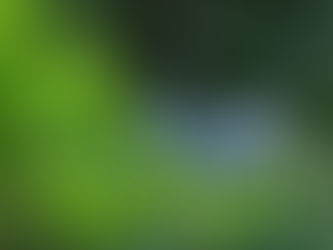 7号食4日目 / Brown Rice Cleanse Day-4