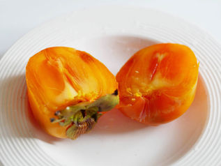 大好物の柿は、フランスでも「KAKI」