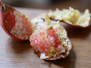 Grenade / ザクロ の皮には毒があるのでご注意を