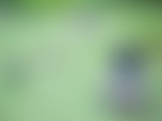 Jardin des Rosiers - Joseph-Migneret