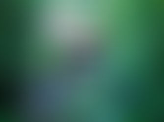 Fallingwater - Frank Lloyd Wright