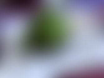 La Courtille de Solutré - MÂCON