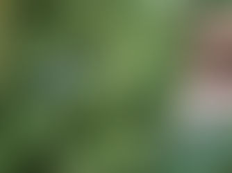 フランス人がみんなミニマリストとは限らない