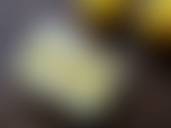 蜂蜜大根 - Radis blanc avec du miel