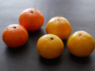 Clémentine / クレモンティーヌ