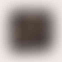 I am lilith caramel cream black tea packaged