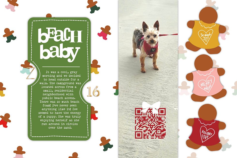 Dog on beach in red harness. Green card reads "beach baby" with beach day story. Gingerbread figures say "So much JOY," "MERRY & BRIGHT," "HOLIDAY LOVE."