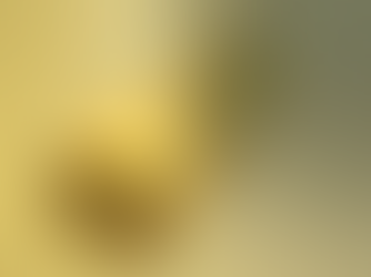 Gold Price Forecast: XAU/USD eyes $1,700 as path of least resistance appears down