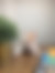 sahiplendirme için kedi ilanlari gösteren ikinci küçük fotoğraf