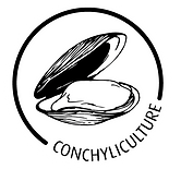 acc-bouton-conchy.png