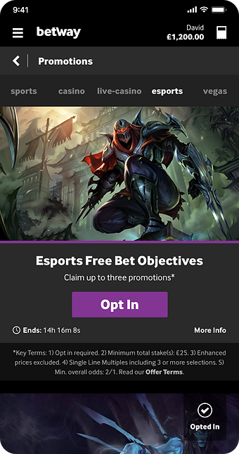 Bw Promotions - esports.png