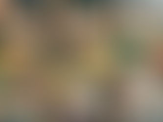 Blinds vs. Shutters: Which Style Takes the Spotlight on Thanksgiving?